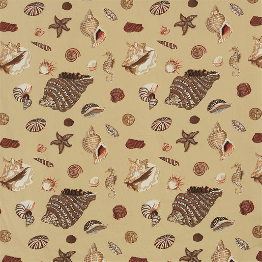 Coastal Seashell & Seahorse Fabric, Brown and Beige Marine Print