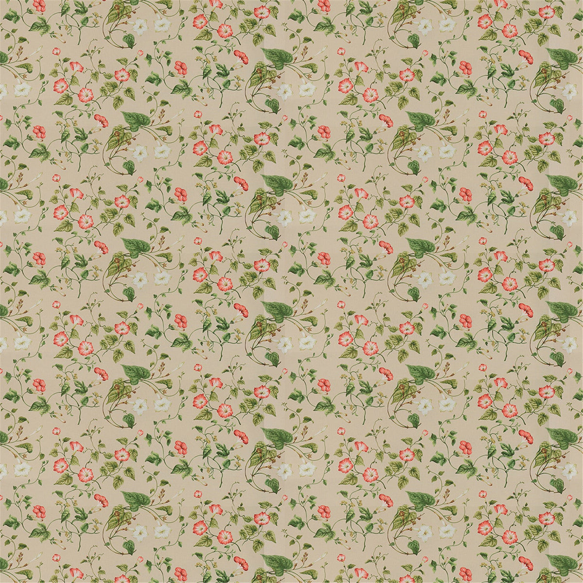 Vintage Inspired Trailing Floral Fabric - Soft Beige Background, Red & Cream Morning Glory Pattern for Upholstery & Crafting
