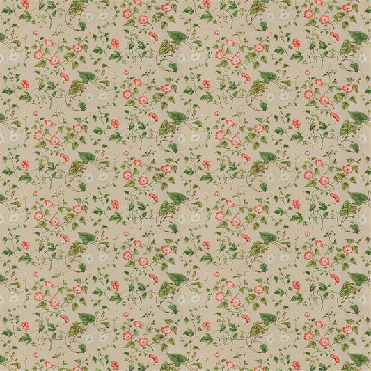 Vintage Inspired Trailing Floral Fabric - Soft Beige Background, Red & Cream Morning Glory Pattern for Upholstery & Crafting